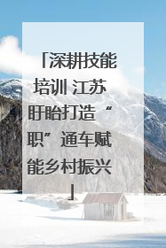 深耕技能培训 江苏盱眙打造“职”通车赋能乡村振兴