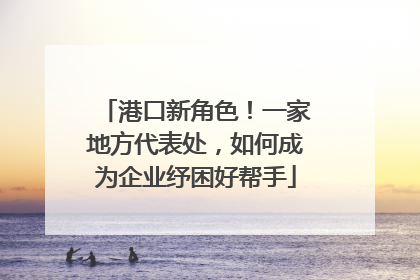港口新角色！一家地方代表处，如何成为企业纾困好帮手