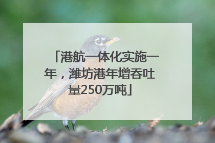 港航一体化实施一年，潍坊港年增吞吐量250万吨