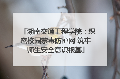 湖南交通工程学院：织密校园禁毒防护网 筑牢师生安全意识根基
