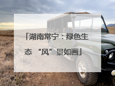 湖南常宁：绿色生态 “风”景如画