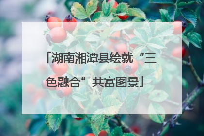湖南湘潭县绘就“三色融合”共富图景