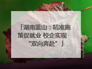 湖南蓝山：精准施策促就业 校企实现“双向奔赴”
