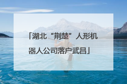 湖北“荆楚”人形机器人公司落户武昌