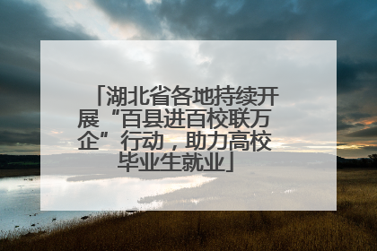 湖北省各地持续开展“百县进百校联万企”行动，助力高校毕业生就业