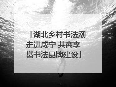 湖北乡村书法潮走进咸宁 共商李邕书法品牌建设