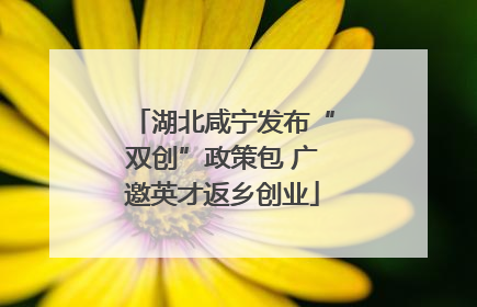 湖北咸宁发布“双创”政策包 广邀英才返乡创业