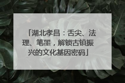 湖北孝昌：舌尖、法理、笔墨，解锁古镇振兴的文化基因密码