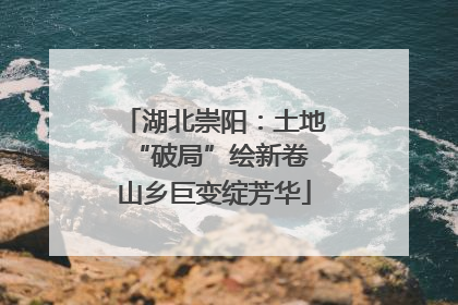 湖北崇阳：土地“破局”绘新卷 山乡巨变绽芳华