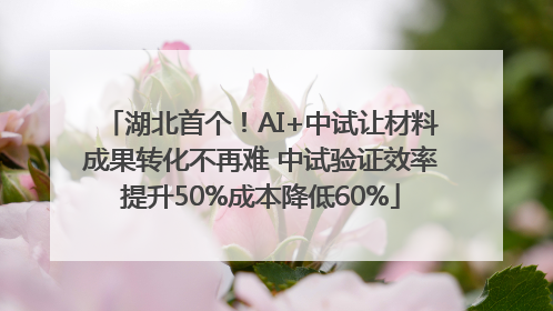 湖北首个！AI+中试让材料成果转化不再难 中试验证效率提升50%成本降低60%