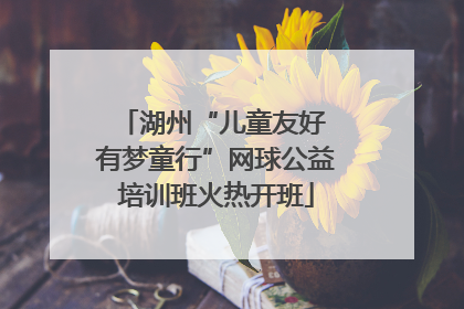 湖州“儿童友好 有梦童行”网球公益培训班火热开班