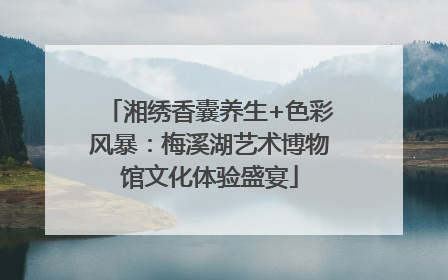湘绣香囊养生+色彩风暴：梅溪湖艺术博物馆文化体验盛宴