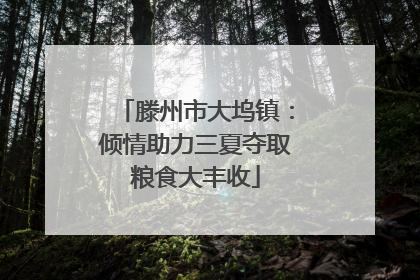 滕州市大坞镇：倾情助力三夏夺取粮食大丰收