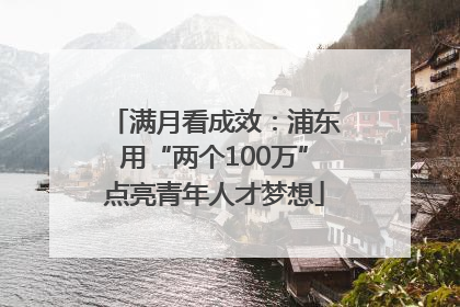 满月看成效：浦东用“两个100万”点亮青年人才梦想