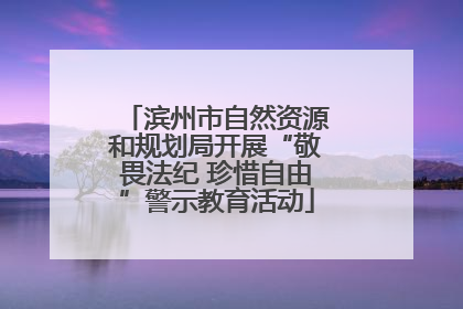 滨州市自然资源和规划局开展“敬畏法纪 珍惜自由”警示教育活动