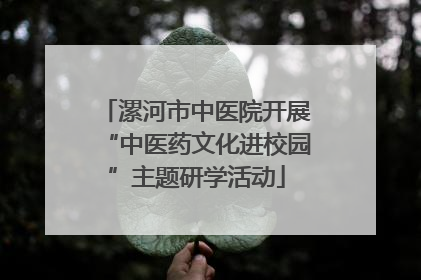 漯河市中医院开展“中医药文化进校园”主题研学活动