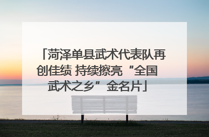 菏泽单县武术代表队再创佳绩 持续擦亮“全国武术之乡”金名片