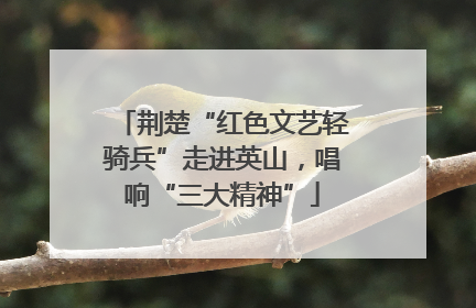 荆楚“红色文艺轻骑兵”走进英山，唱响“三大精神”