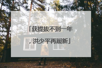 获提拔不到一年，洪少平再履新