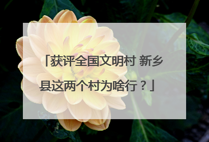 获评全国文明村 新乡县这两个村为啥行？