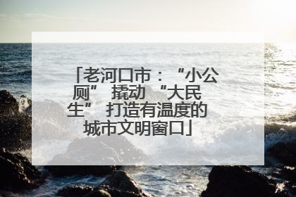 老河口市：“小公厕” 撬动 “大民生” 打造有温度的城市文明窗口