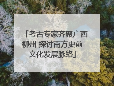 考古专家齐聚广西柳州 探讨南方史前文化发展脉络