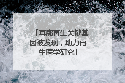 耳廓再生关键基因被发现，助力再生医学研究