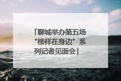 聊城举办第五场“榜样在身边”系列记者见面会