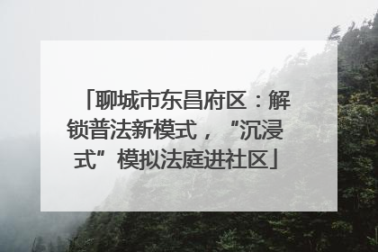 聊城市东昌府区：解锁普法新模式，“沉浸式”模拟法庭进社区