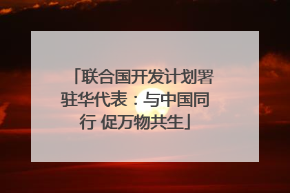 联合国开发计划署驻华代表：与中国同行 促万物共生