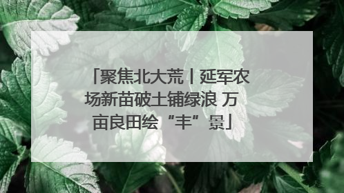 聚焦北大荒丨延军农场新苗破土铺绿浪 万亩良田绘“丰”景