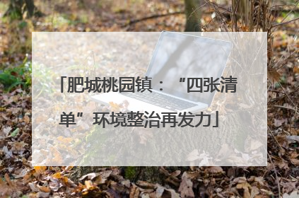 肥城桃园镇：“四张清单”环境整治再发力