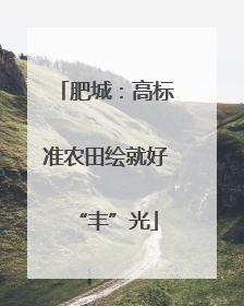 肥城：高标准农田绘就好“丰”光