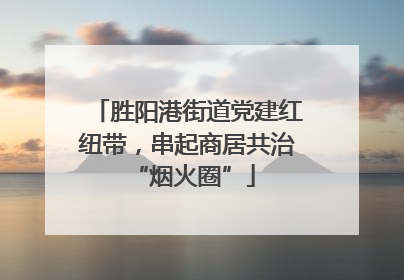 胜阳港街道党建红纽带，串起商居共治 “烟火圈”