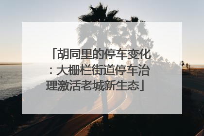 胡同里的停车变化：大栅栏街道停车治理激活老城新生态