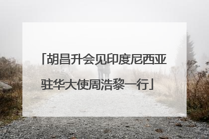 胡昌升会见印度尼西亚驻华大使周浩黎一行