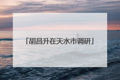 胡昌升在天水市调研