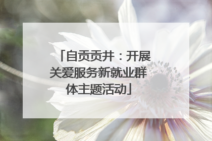 自贡贡井：开展关爱服务新就业群体主题活动