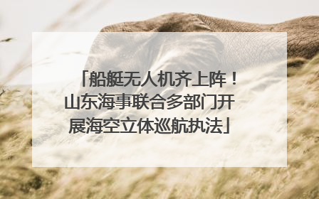 船艇无人机齐上阵！山东海事联合多部门开展海空立体巡航执法