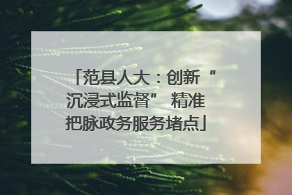 范县人大：创新“沉浸式监督” 精准把脉政务服务堵点