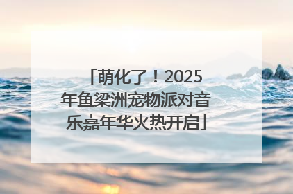 萌化了！2025年鱼梁洲宠物派对音乐嘉年华火热开启