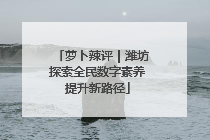 萝卜辣评｜潍坊探索全民数字素养提升新路径