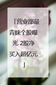 营业部最青睐个股曝光 2股净买入超亿元