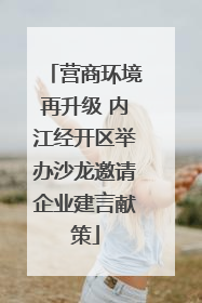 营商环境再升级 内江经开区举办沙龙邀请企业建言献策