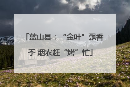 蓝山县：“金叶”飘香季 烟农赶“烤”忙