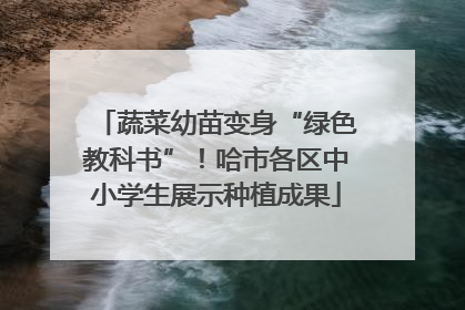 蔬菜幼苗变身“绿色教科书”！哈市各区中小学生展示种植成果
