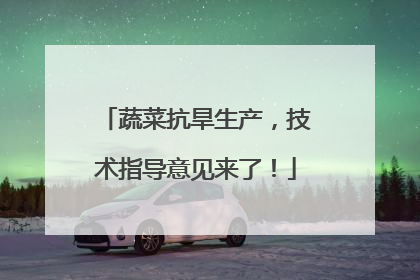 蔬菜抗旱生产，技术指导意见来了！