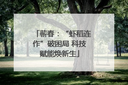 蕲春：“虾稻连作”破困局 科技赋能焕新生
