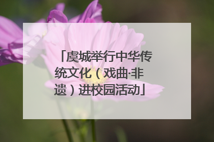 虞城举行中华传统文化（戏曲·非遗）进校园活动