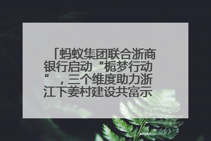 蚂蚁集团联合浙商银行启动“栀梦行动”，三个维度助力浙江下姜村建设共富示范区示范点